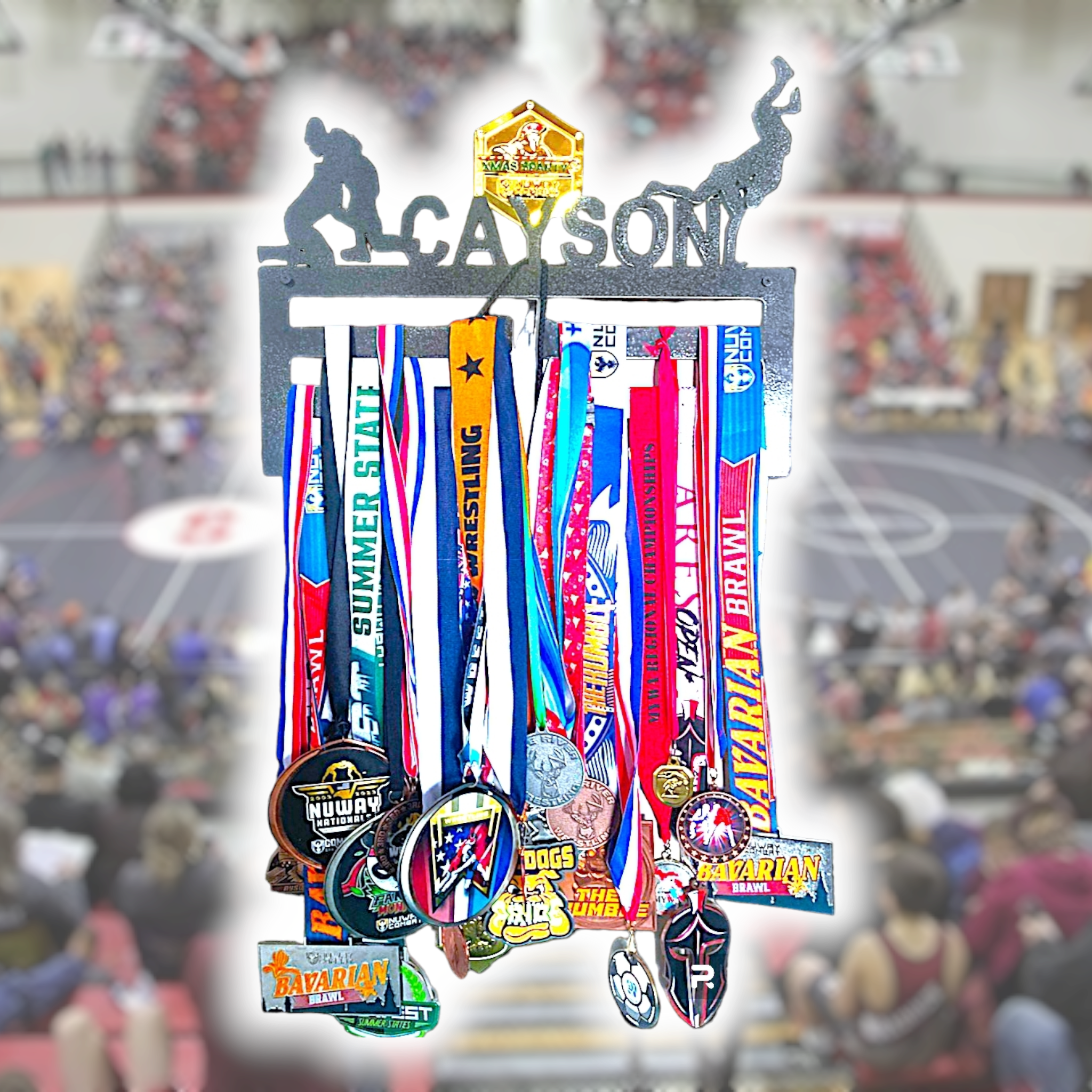 Wrestling Medal Display